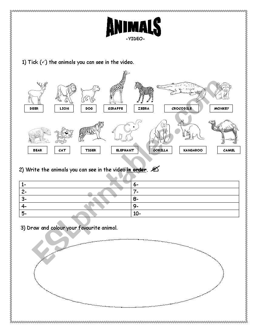 animals video worksheet