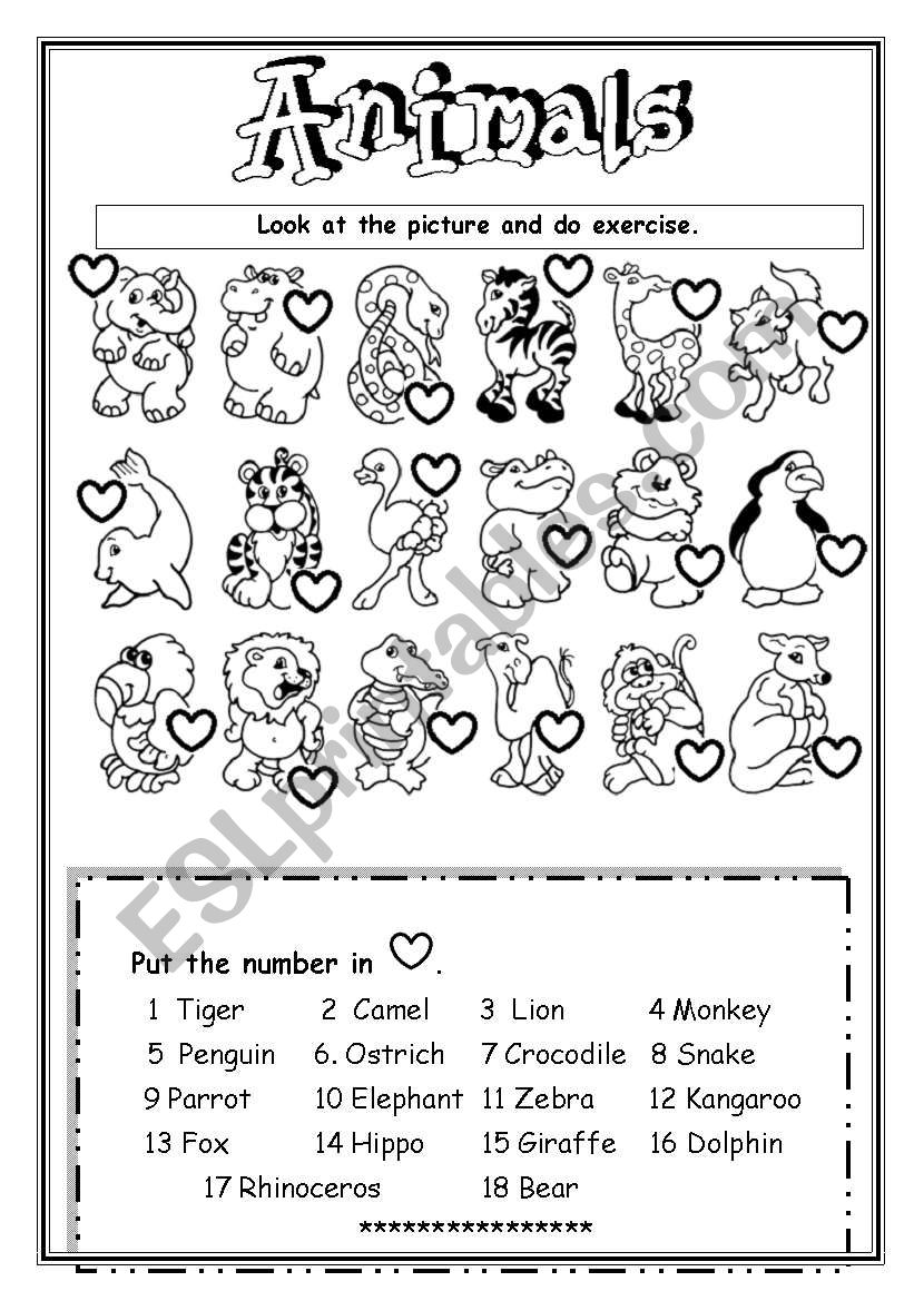 Animals worksheet