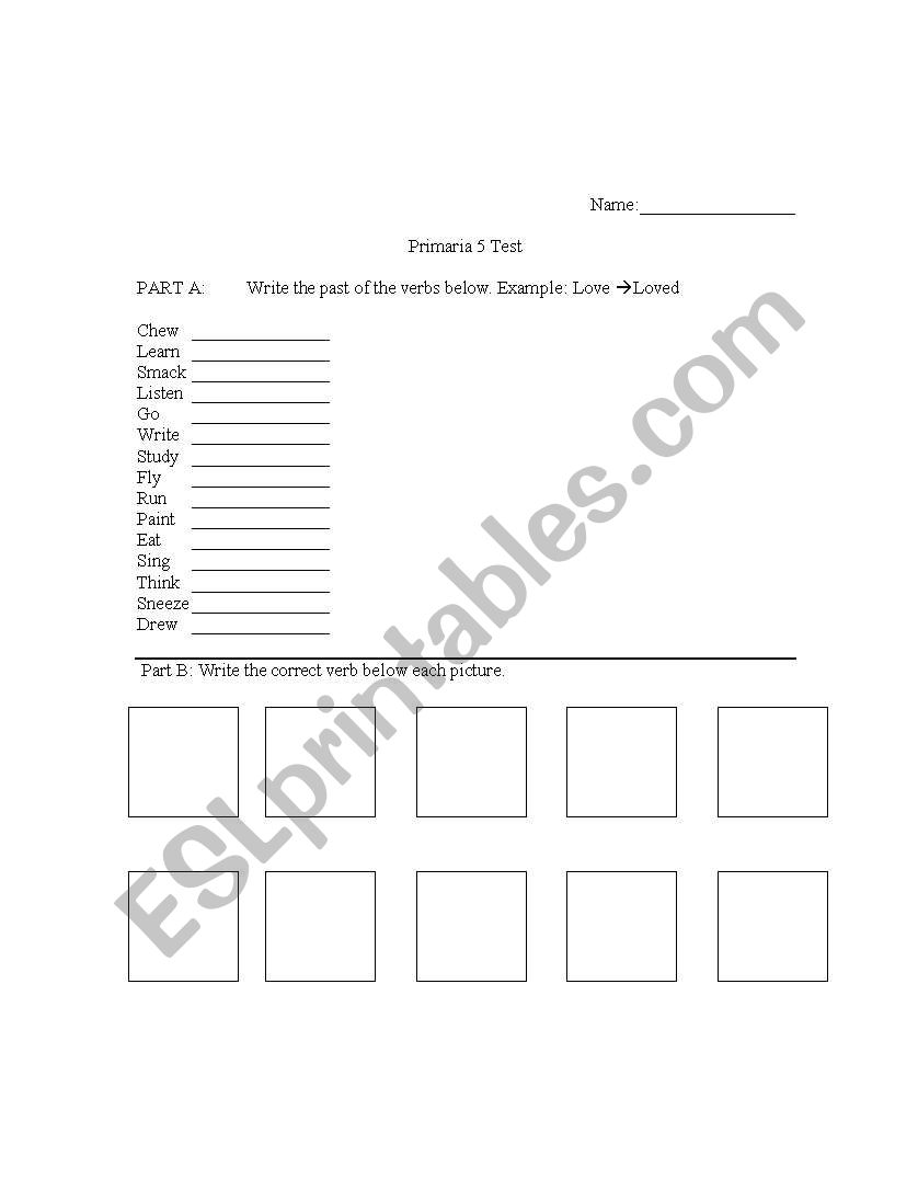 Primary 5 Past Tense English Exam