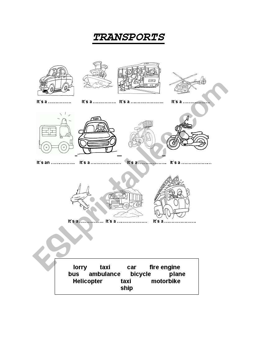 TRANSPORTS worksheet