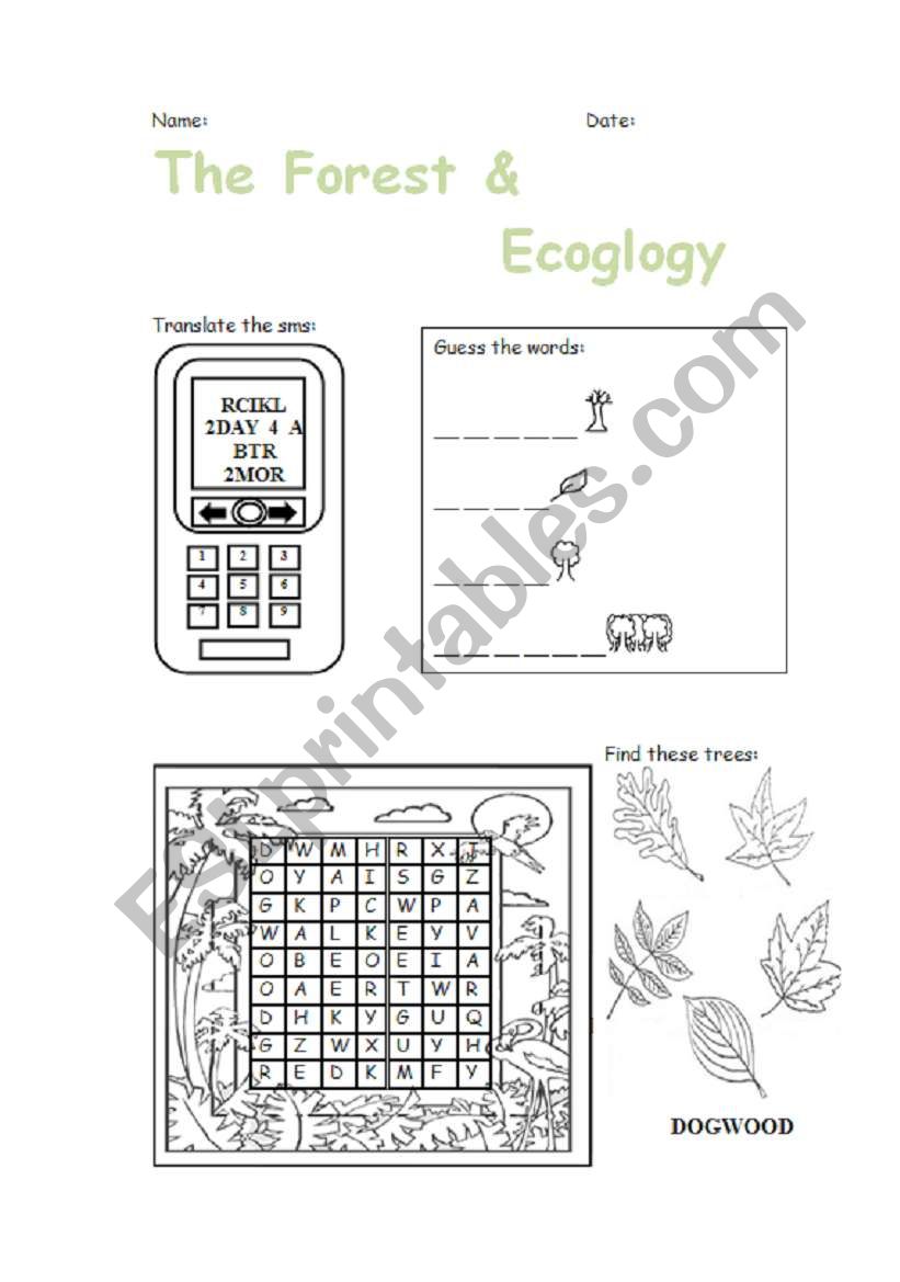 Forest and trees worksheet