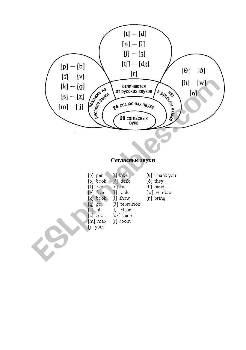 consonants (transcription) worksheet