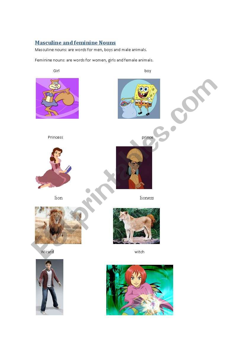MASCULINE AND FEMENINE NOUNS worksheet