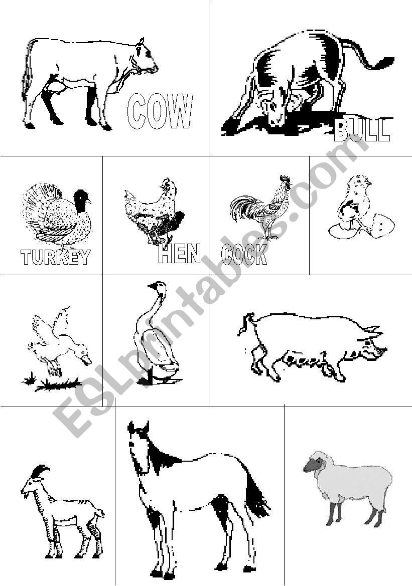 FARM ANIMALS worksheet