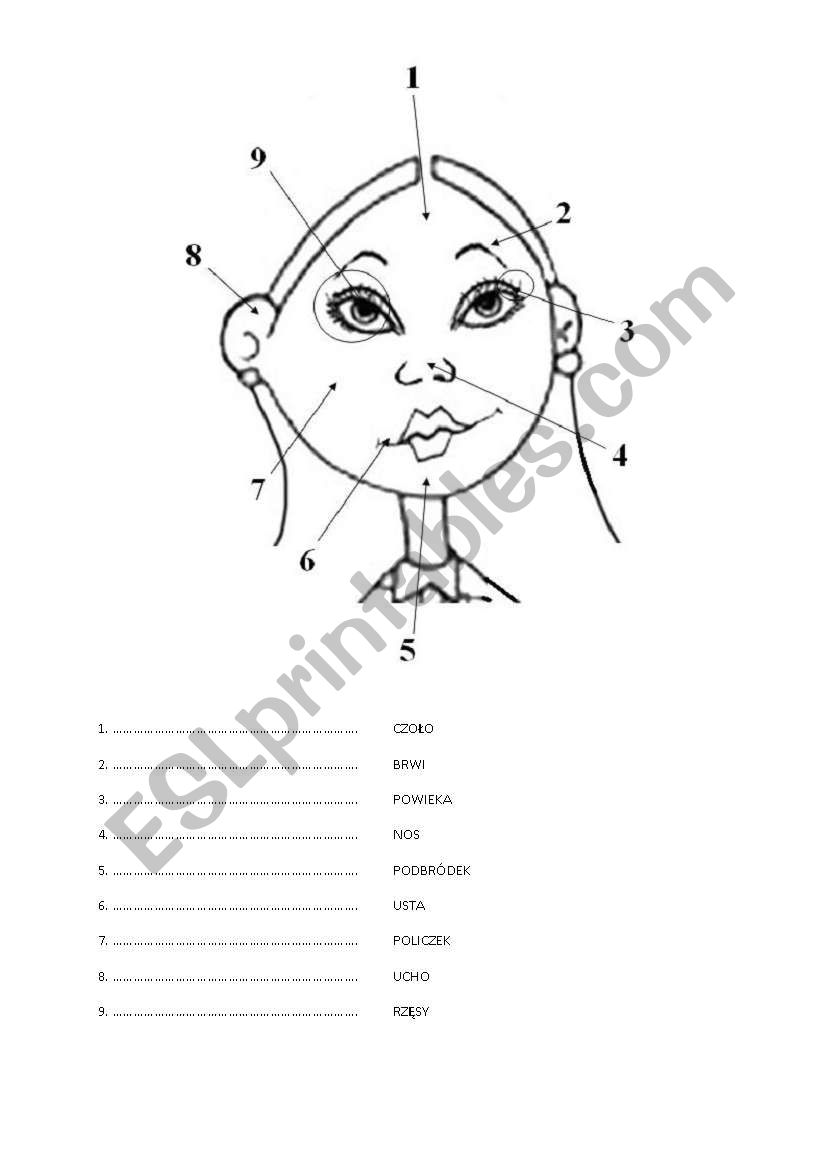 Face worksheet