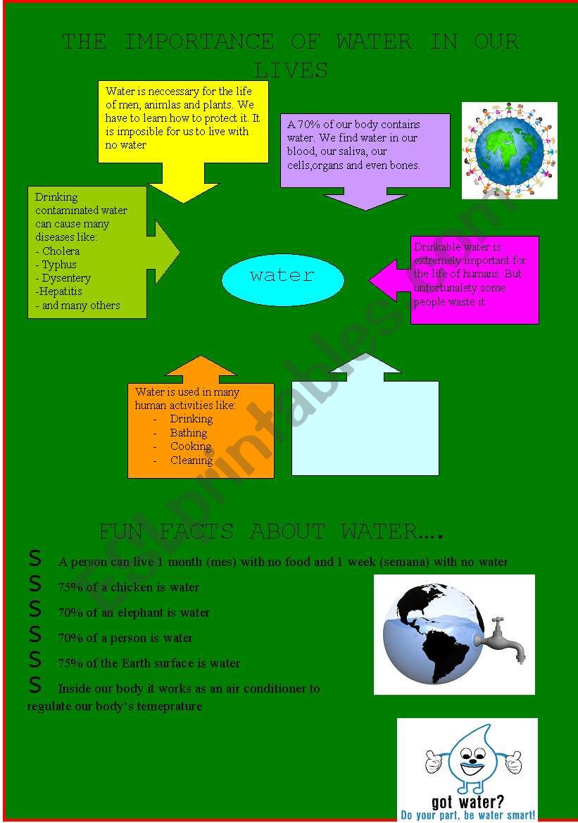 The importance of water worksheet