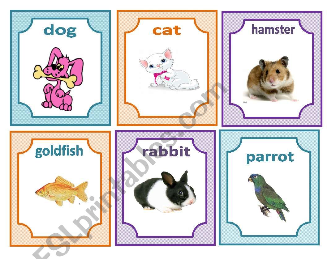 flashcards pets worksheet