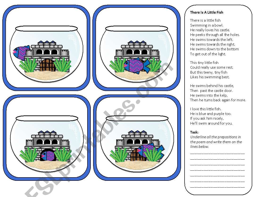 Where is the Fish Swimming? Preposition Memory Cards Part 1 of 2 with Additional Activities