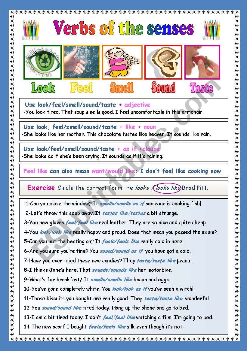 Verbs of the senses worksheet