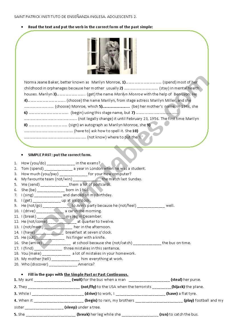 Test Revision  worksheet