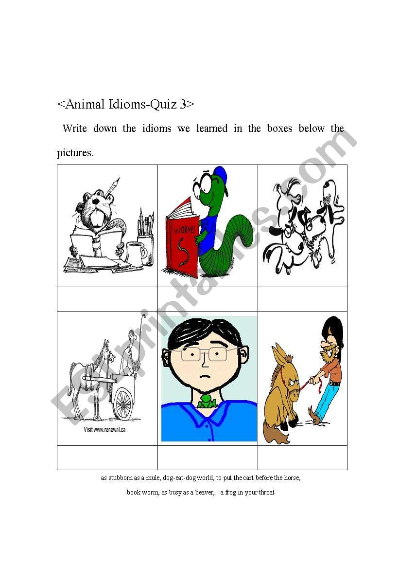 Animal Idioms Quiz 3 worksheet