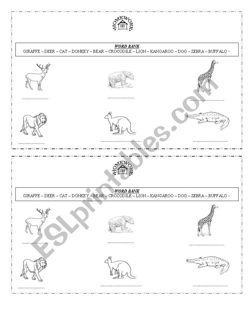 animal video homework worksheet
