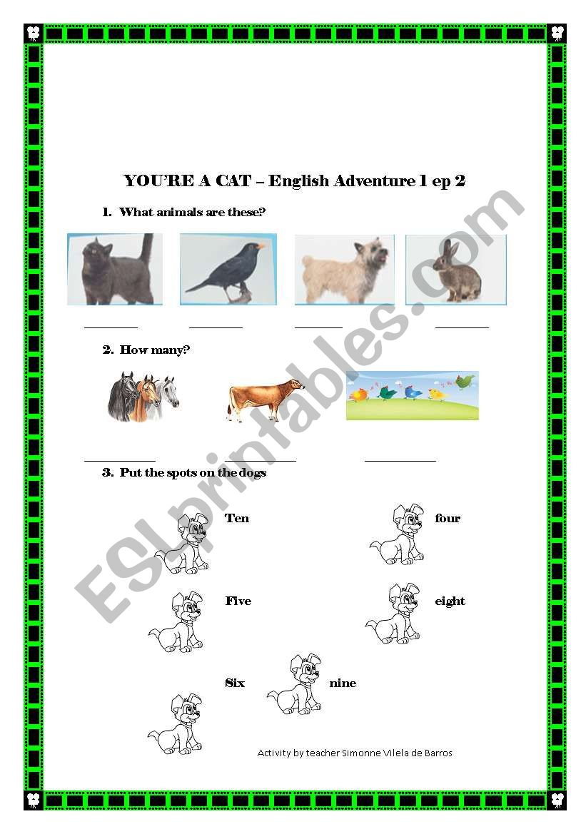 Youre a cat - English Adventure