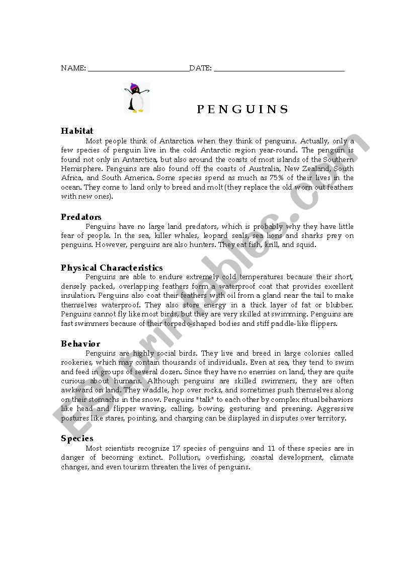 Penguins (reading comprehension)