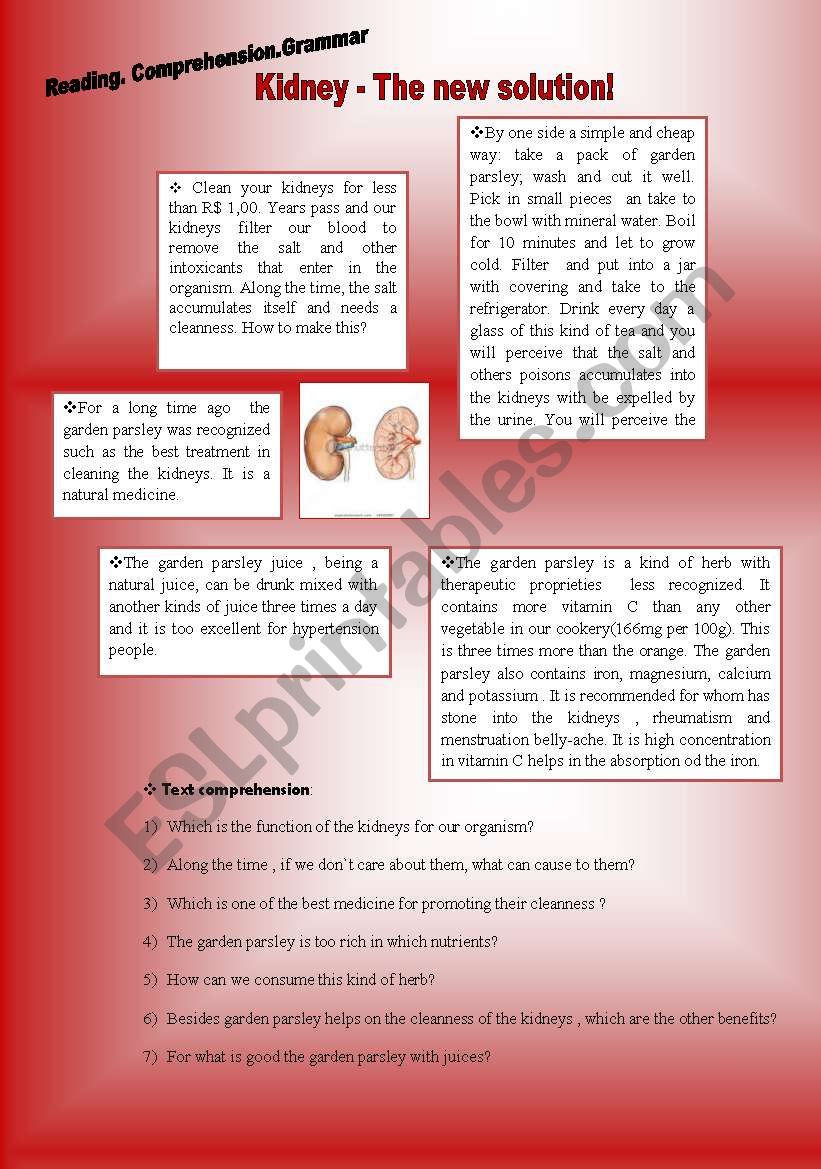 Human Body - Kidney worksheet