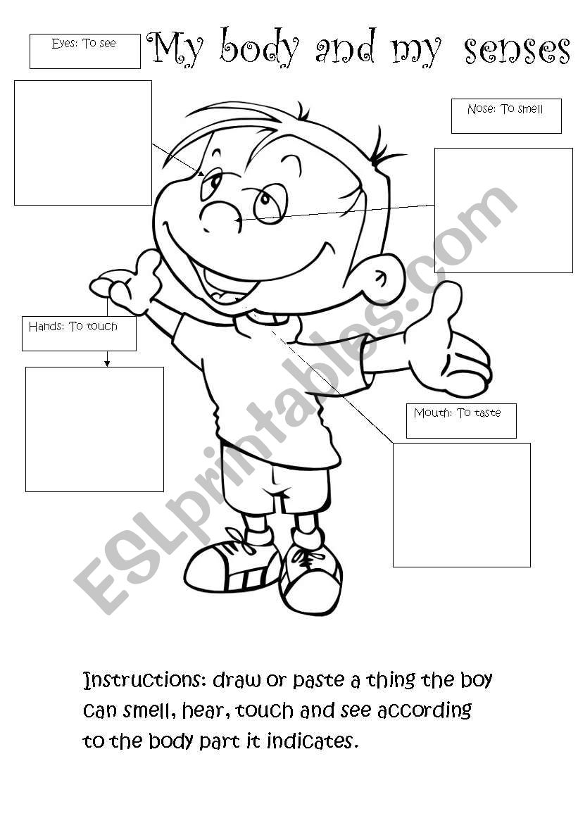 senses worksheet