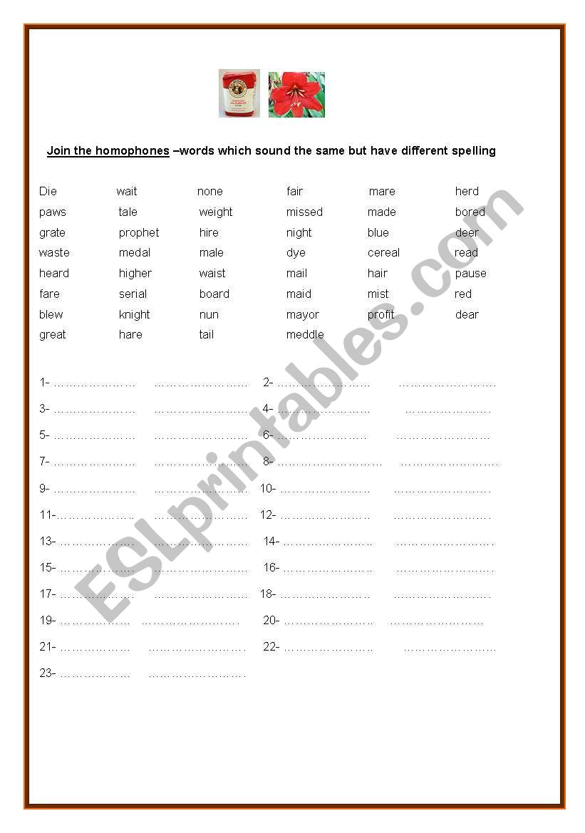 HOMOPHONES worksheet