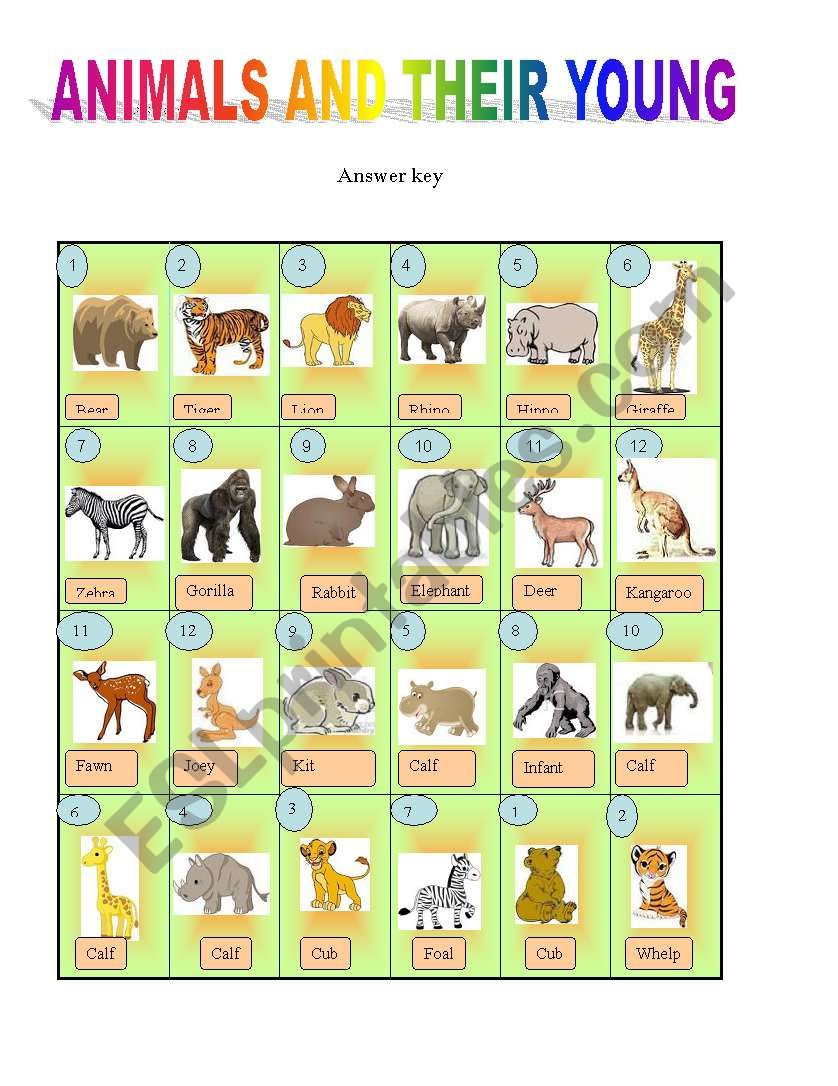 Animals and their young - ESL worksheet by briliya
