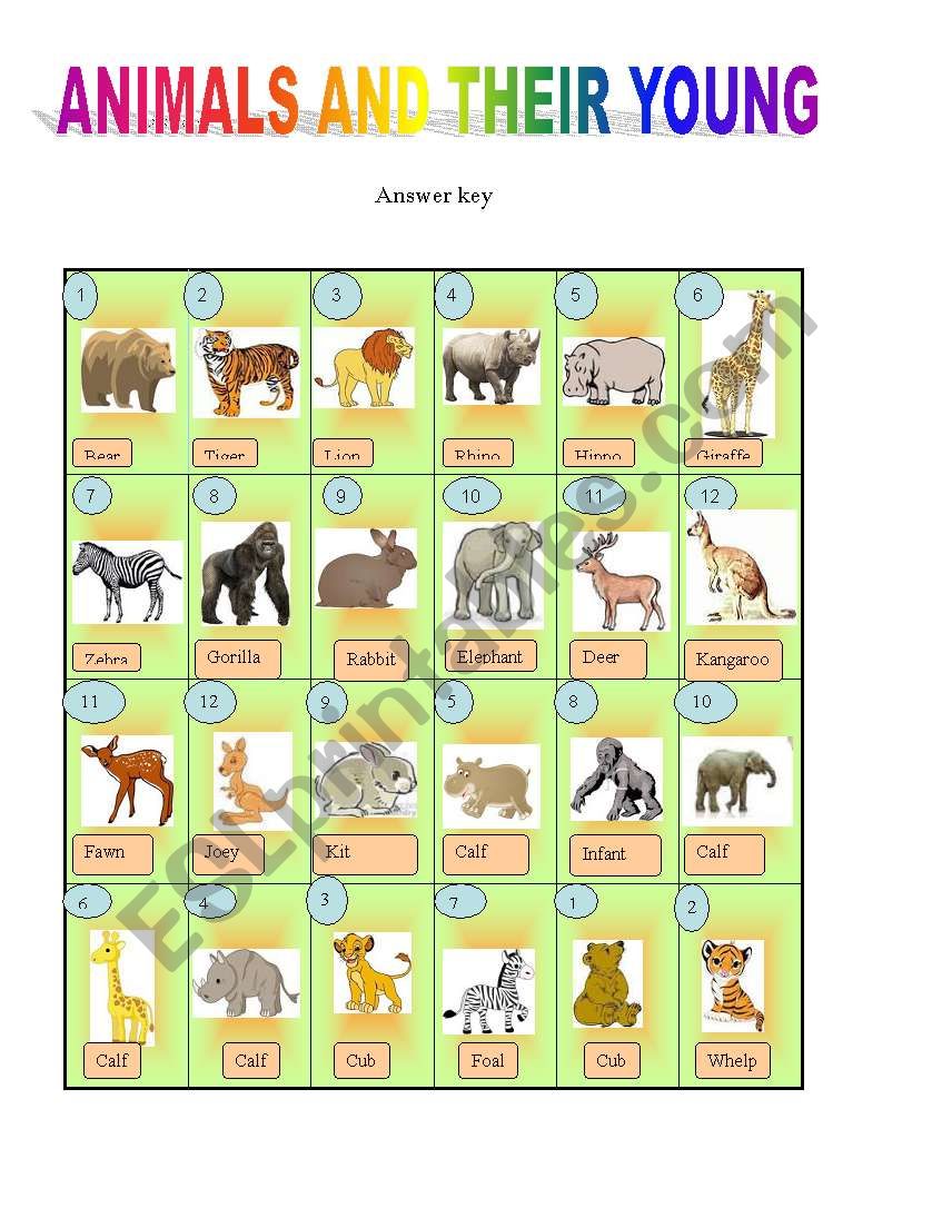 Animals and their young - ESL worksheet by briliya Animals and their young - ESL worksheet by briliya