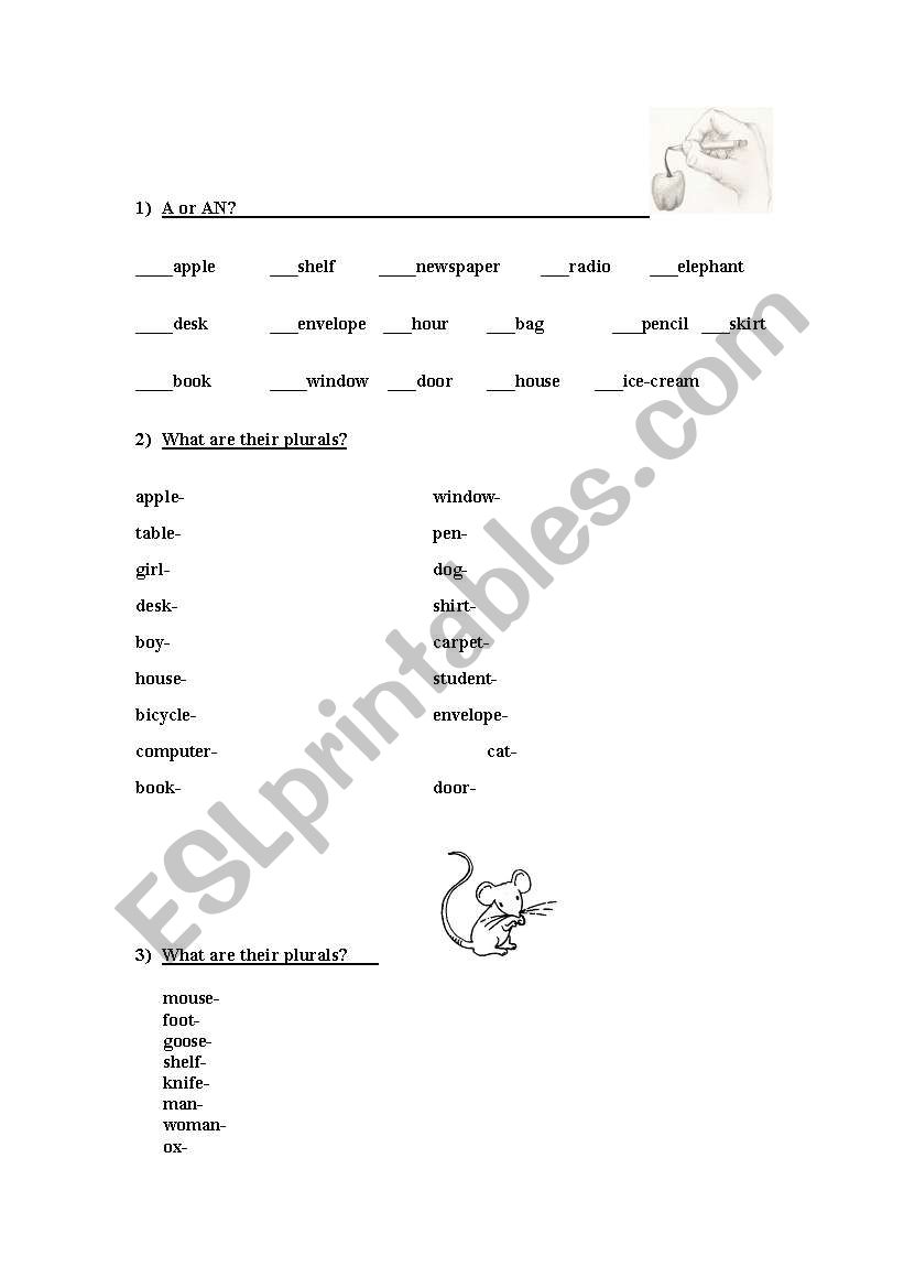 A/An and plural forms of the noun