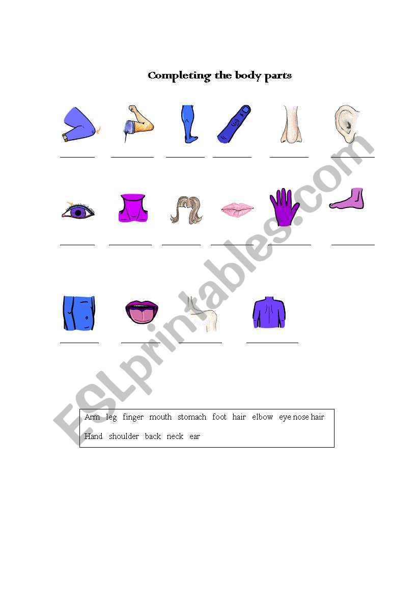 Body Parts worksheet