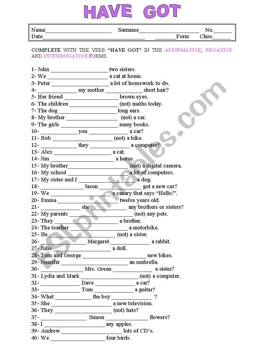 Verb Have Got worksheet