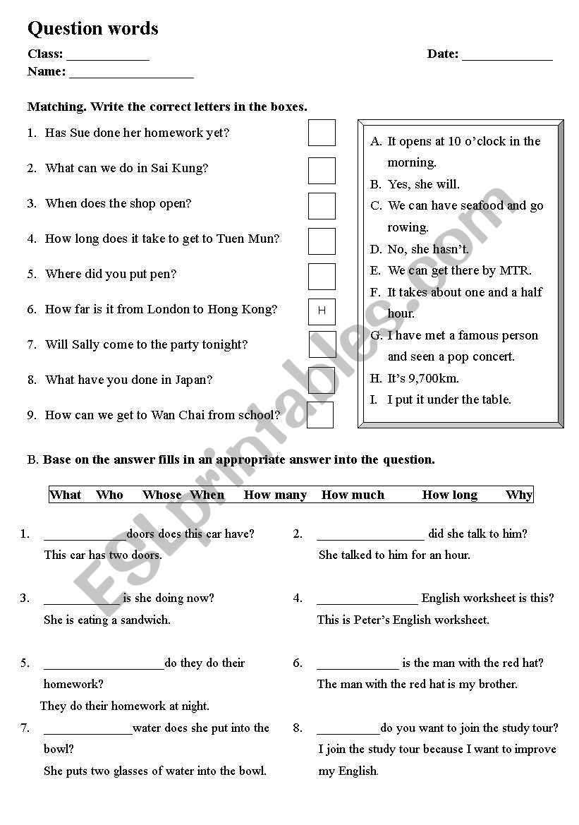 Question words worksheet