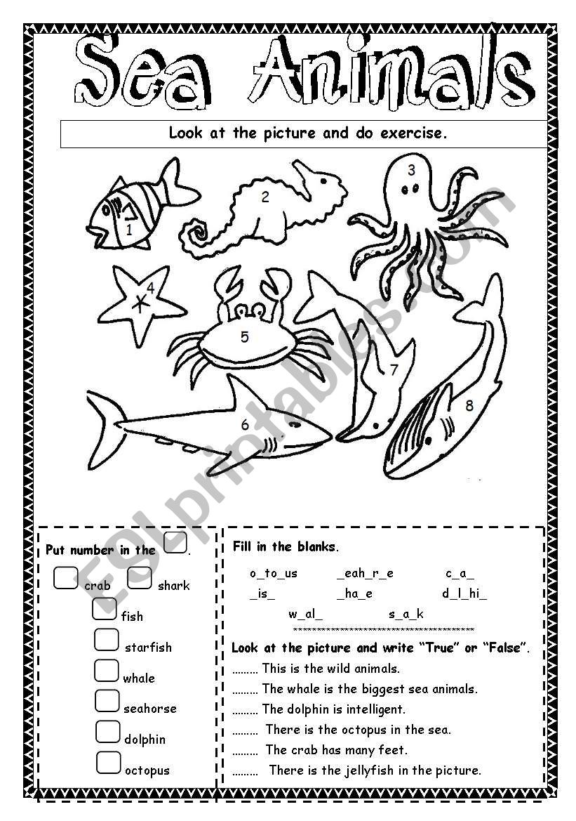 Sea animals worksheet