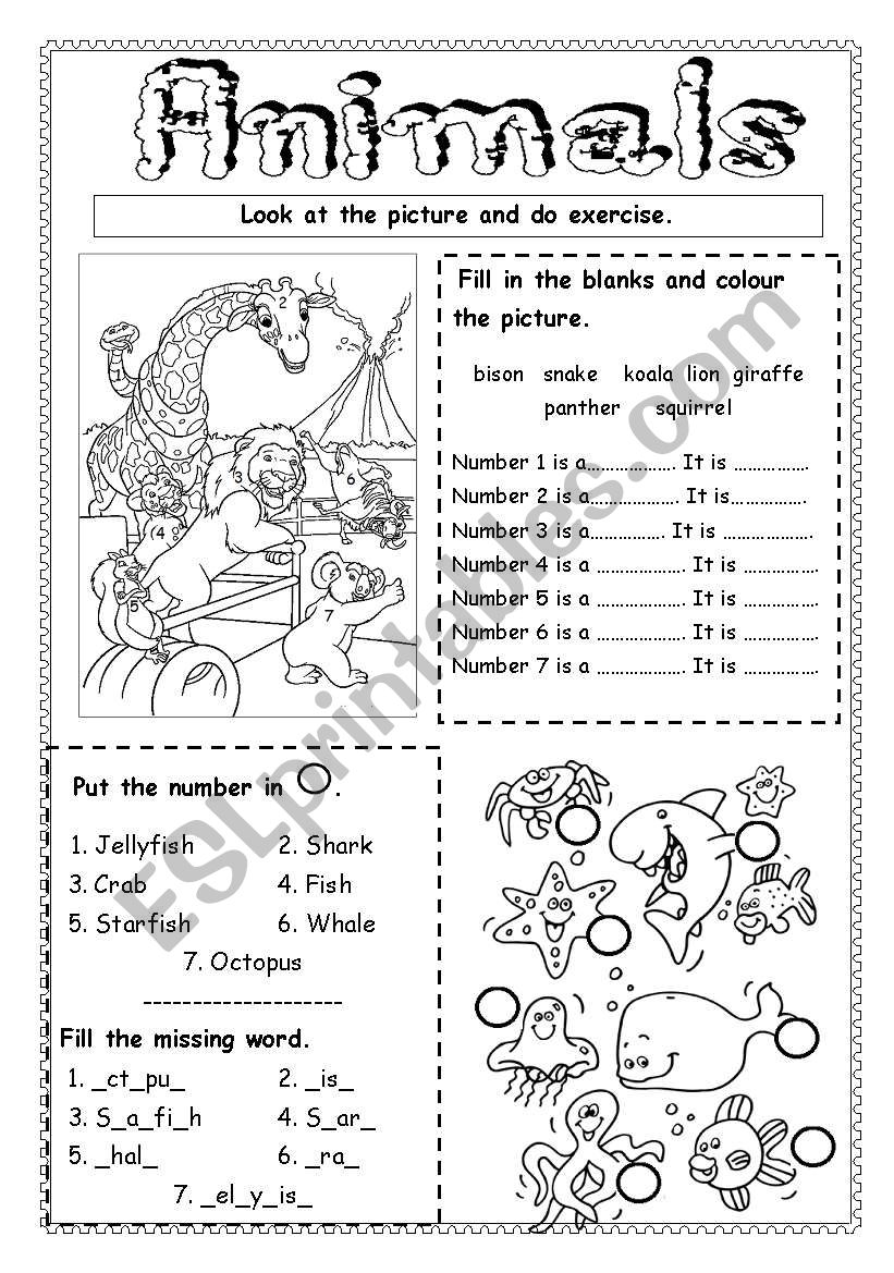 Animals worksheet