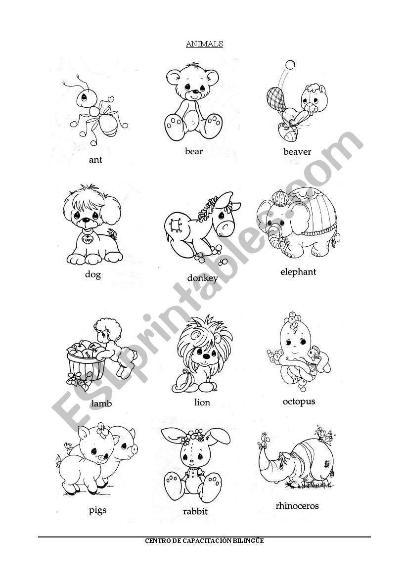 ANIMALS worksheet