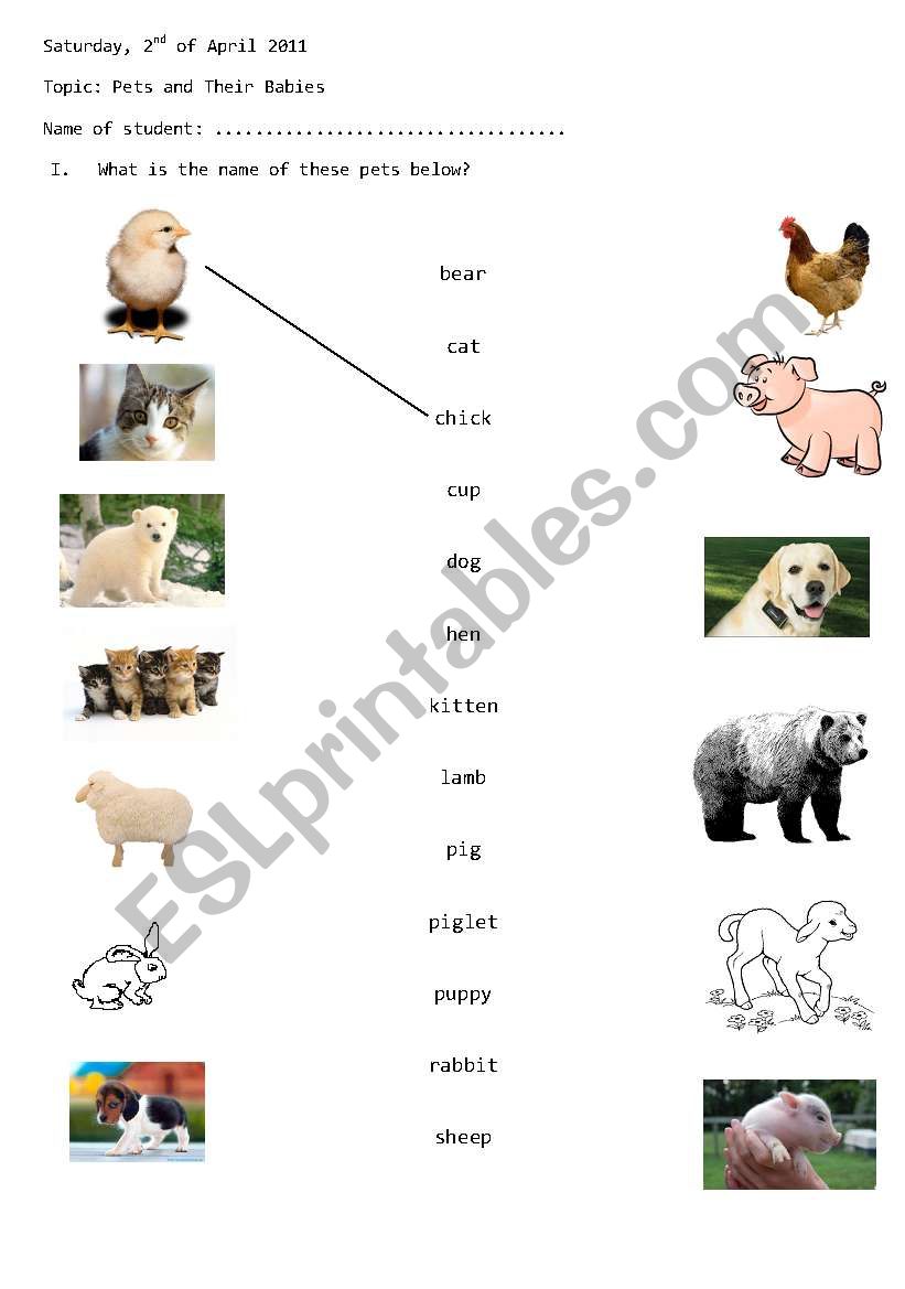matching pets and their name worksheet