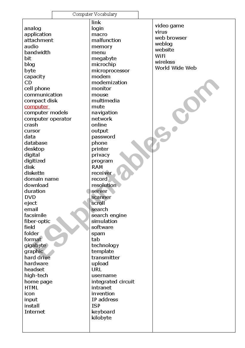 computer teachers vocabulary worksheet