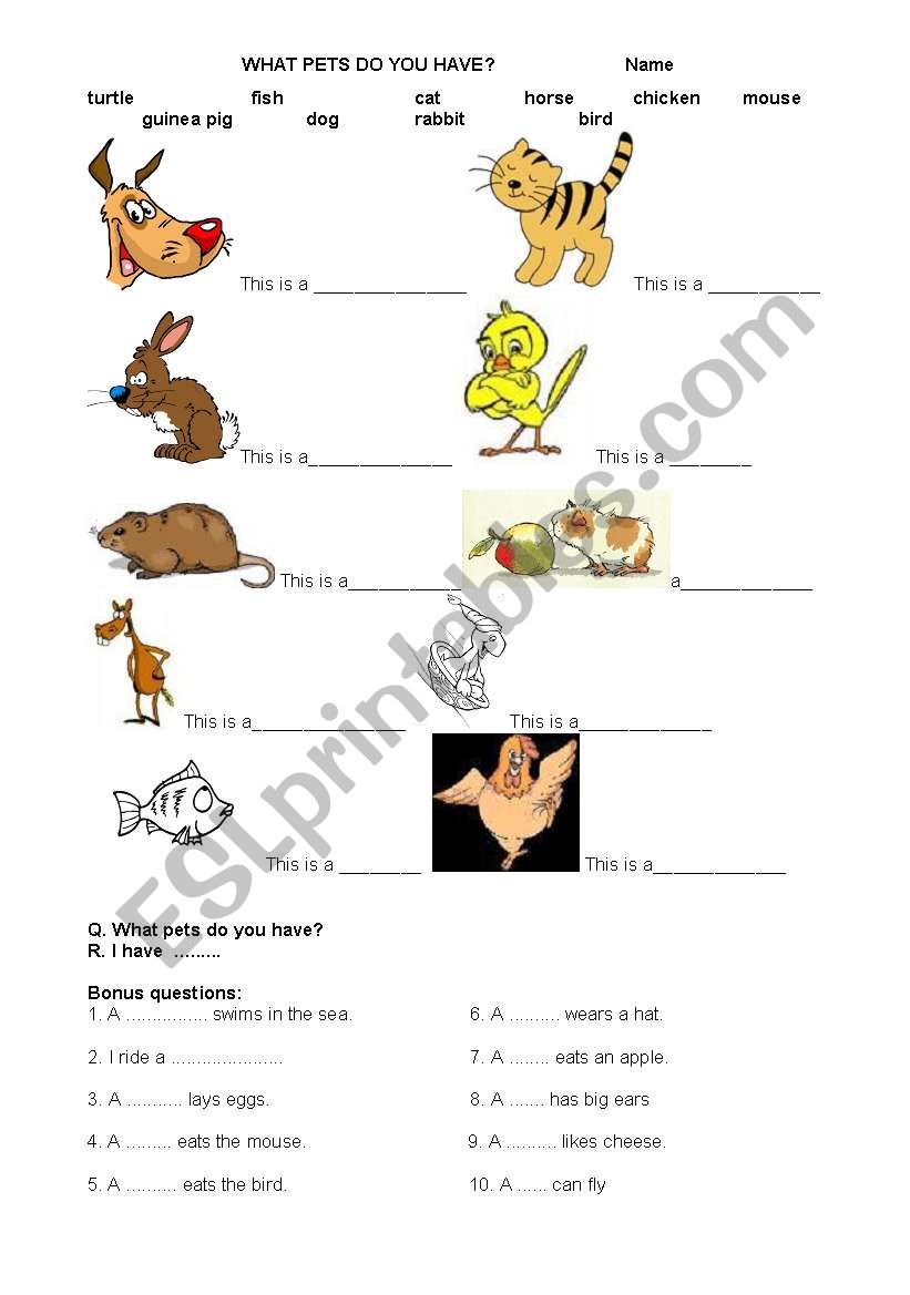 Pets  worksheet