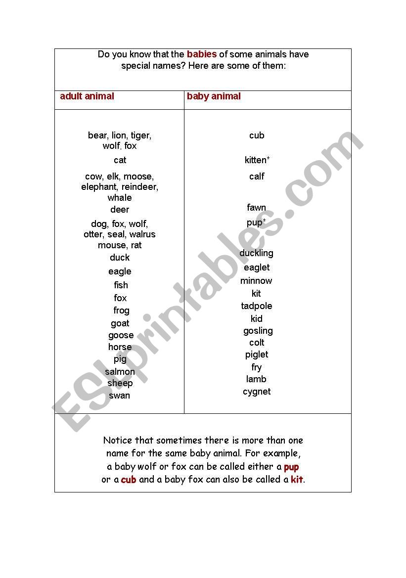 animals:baby animals worksheet