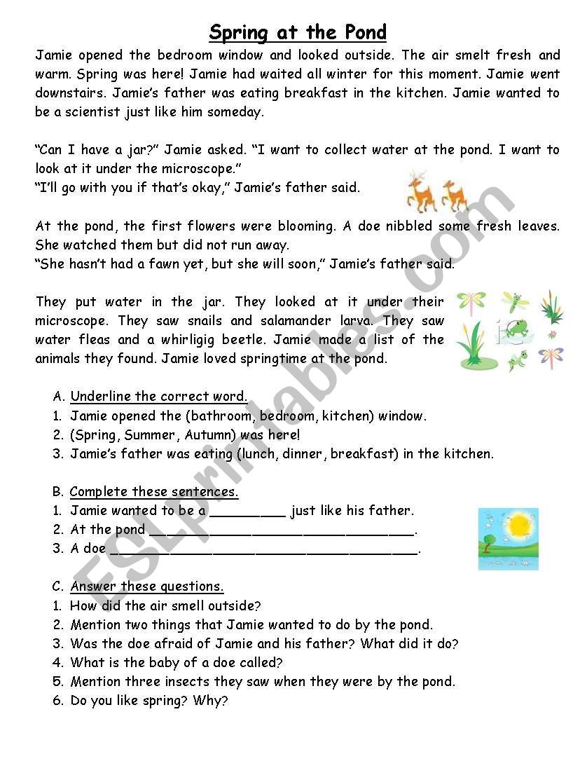 Spring at the pond worksheet