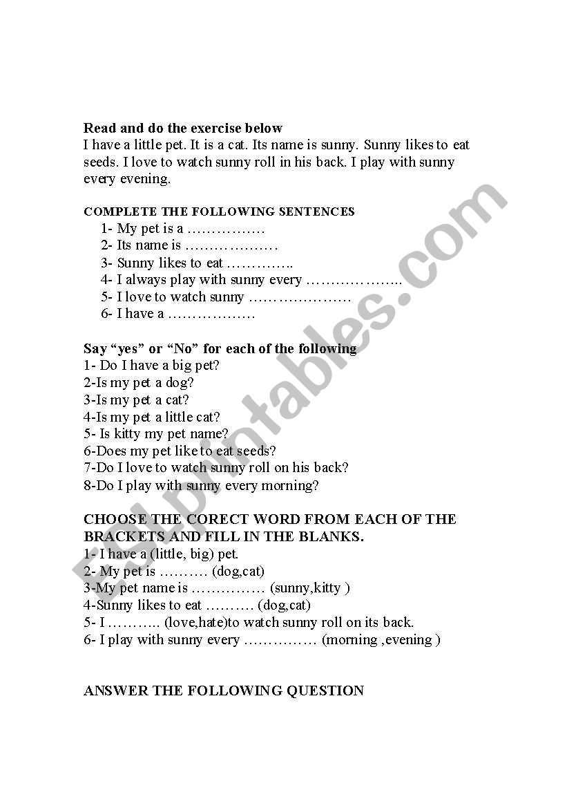 english comprehention  worksheet