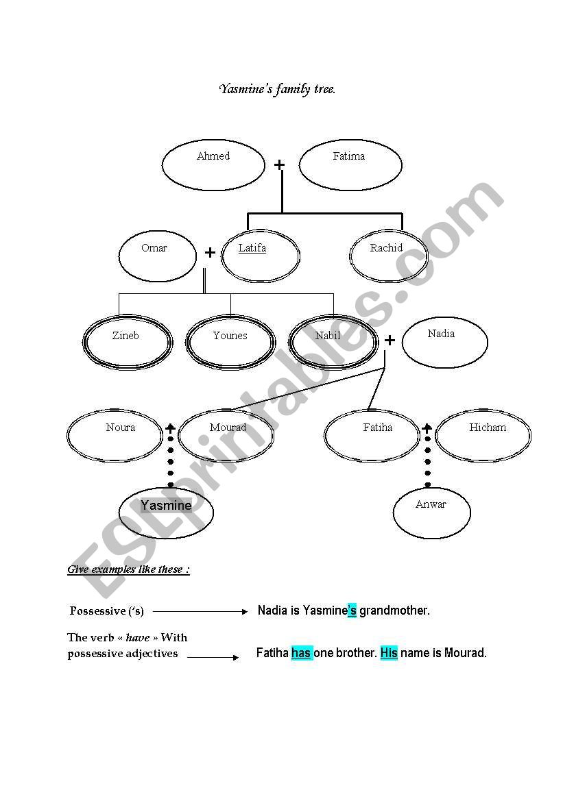 family tree worksheet