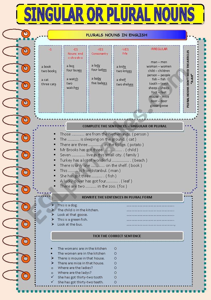 including brief explanation part and three tasks 