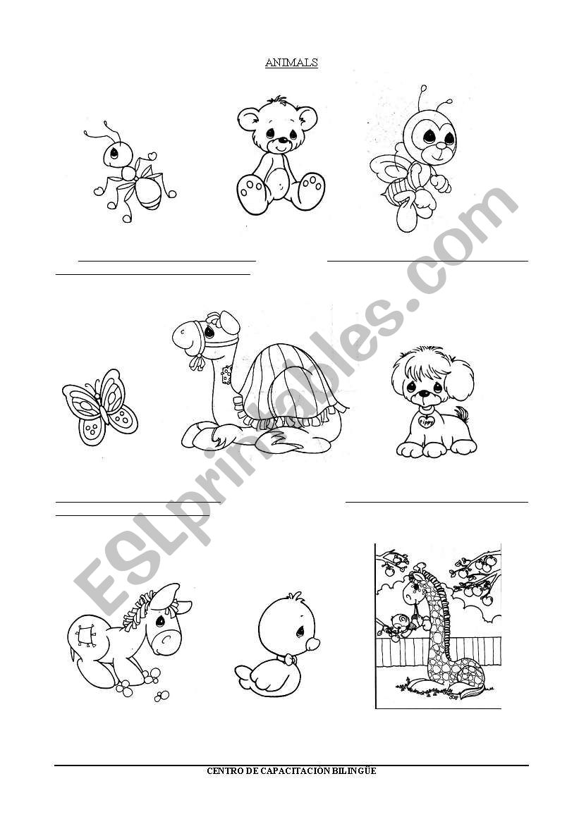 ANIMALS worksheet