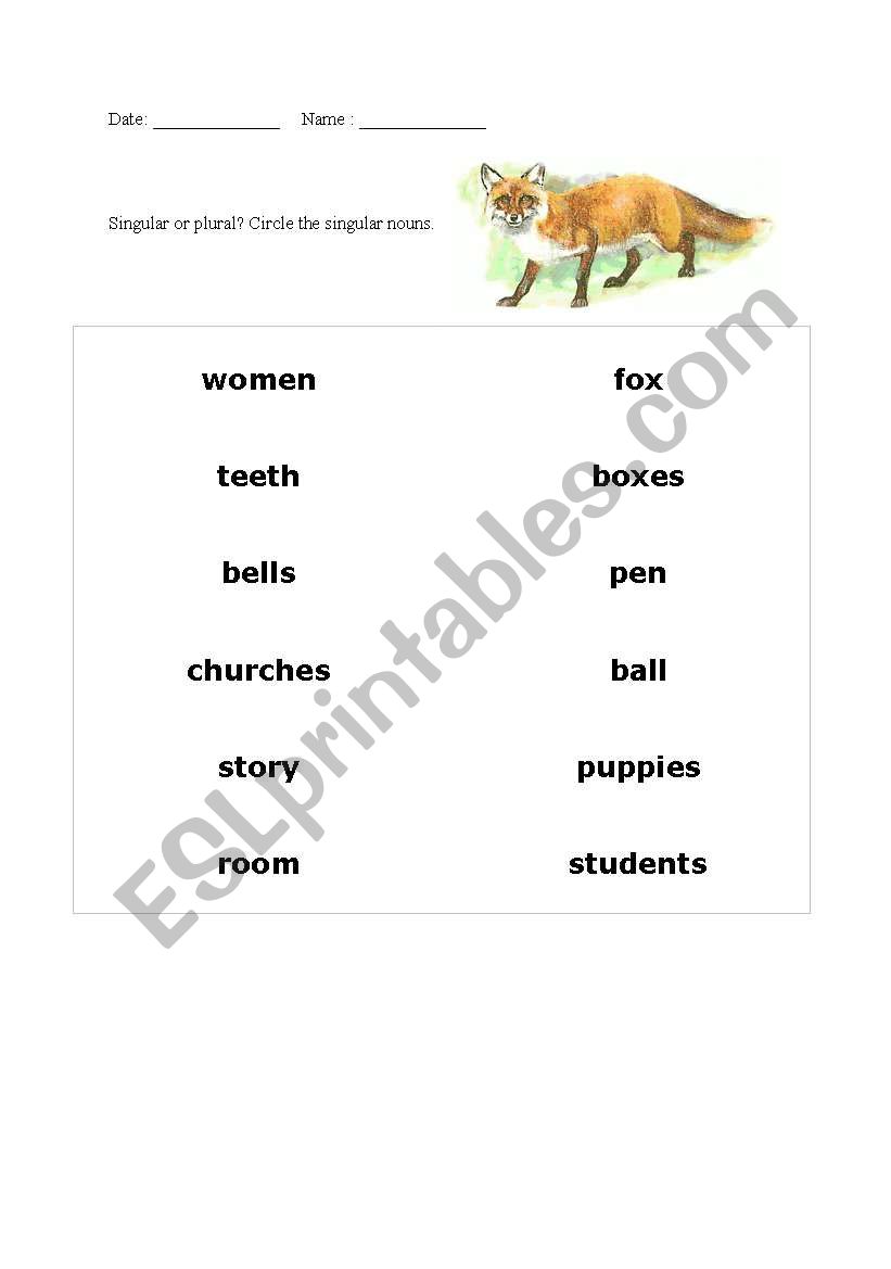 singular - plural exercise worksheet