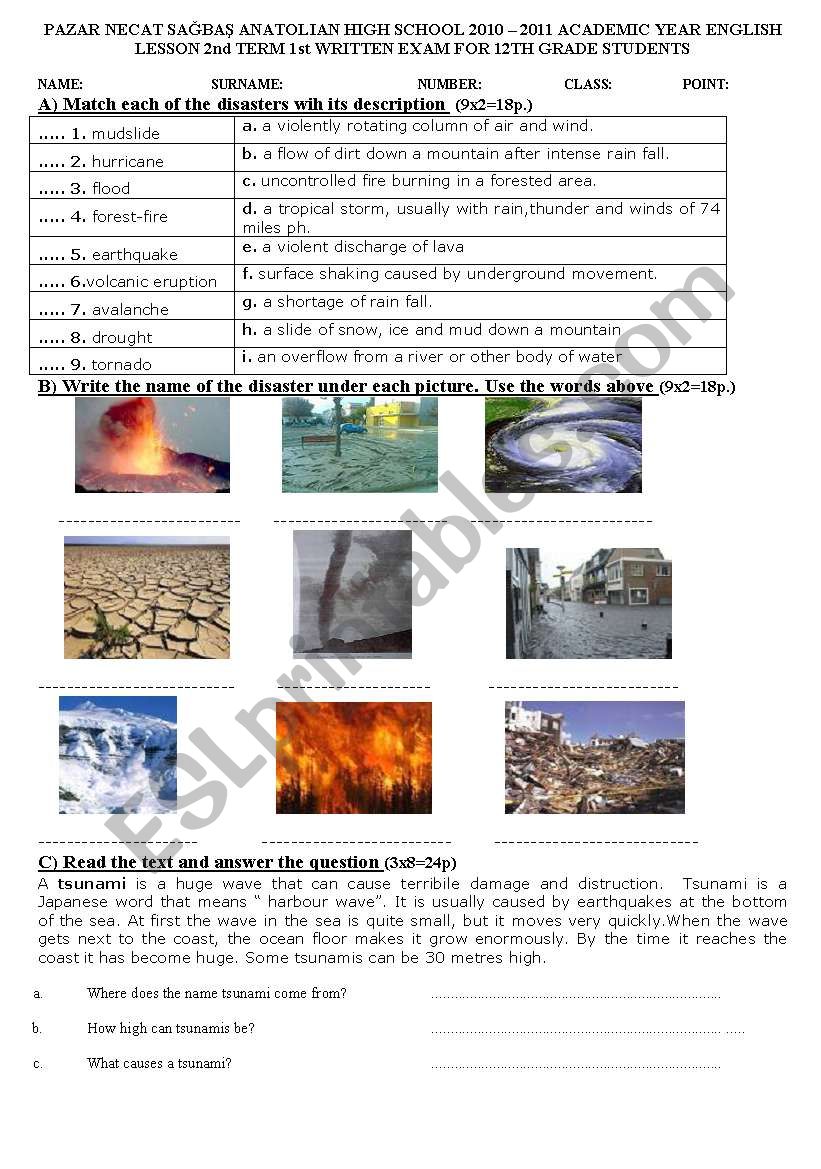 12th Grade Exam Paper worksheet