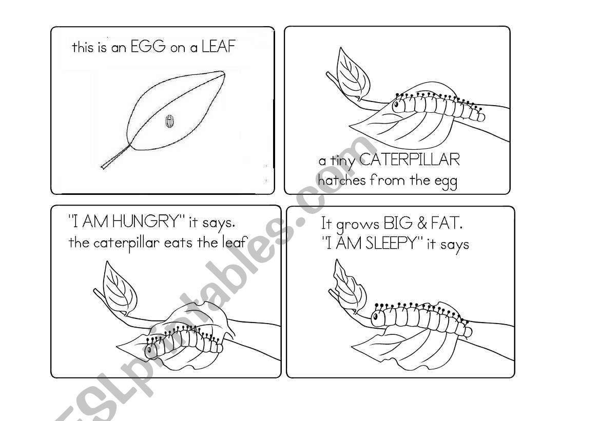 CATERPILLAR-BUTTERFLY worksheet