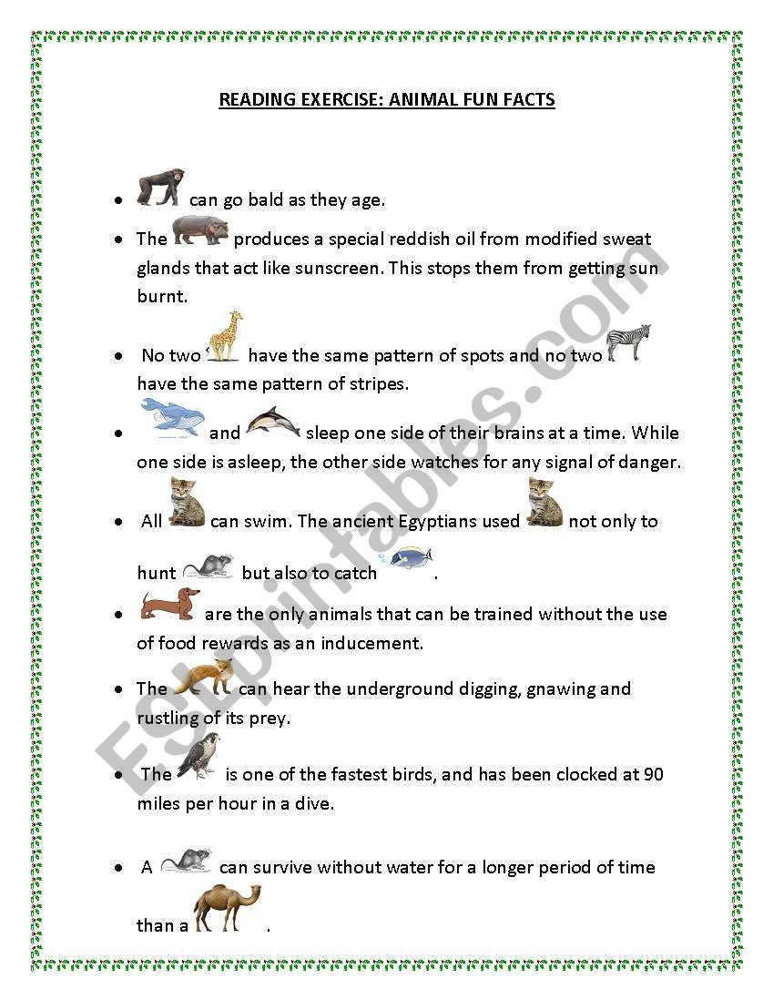Animal Fun Facts worksheet