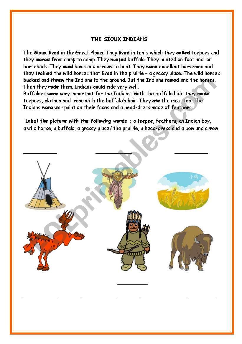 The Sioux Indians worksheet