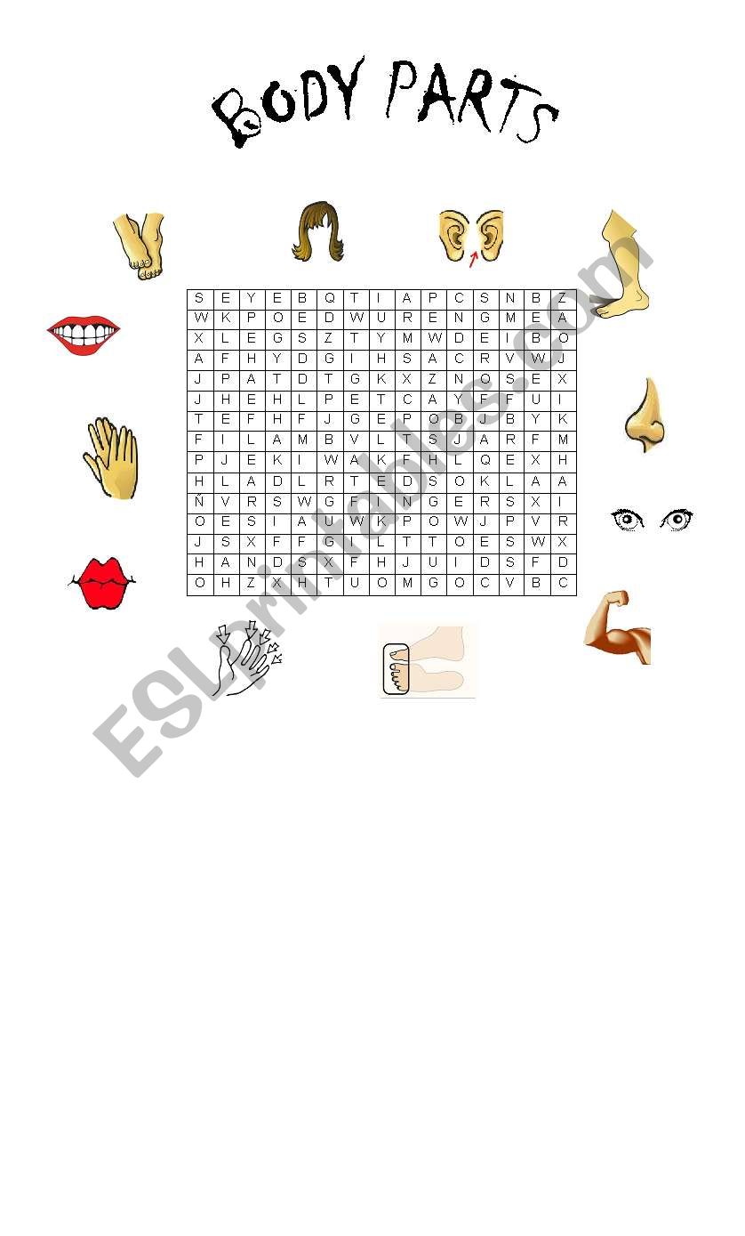 Body parts wordsearch worksheet