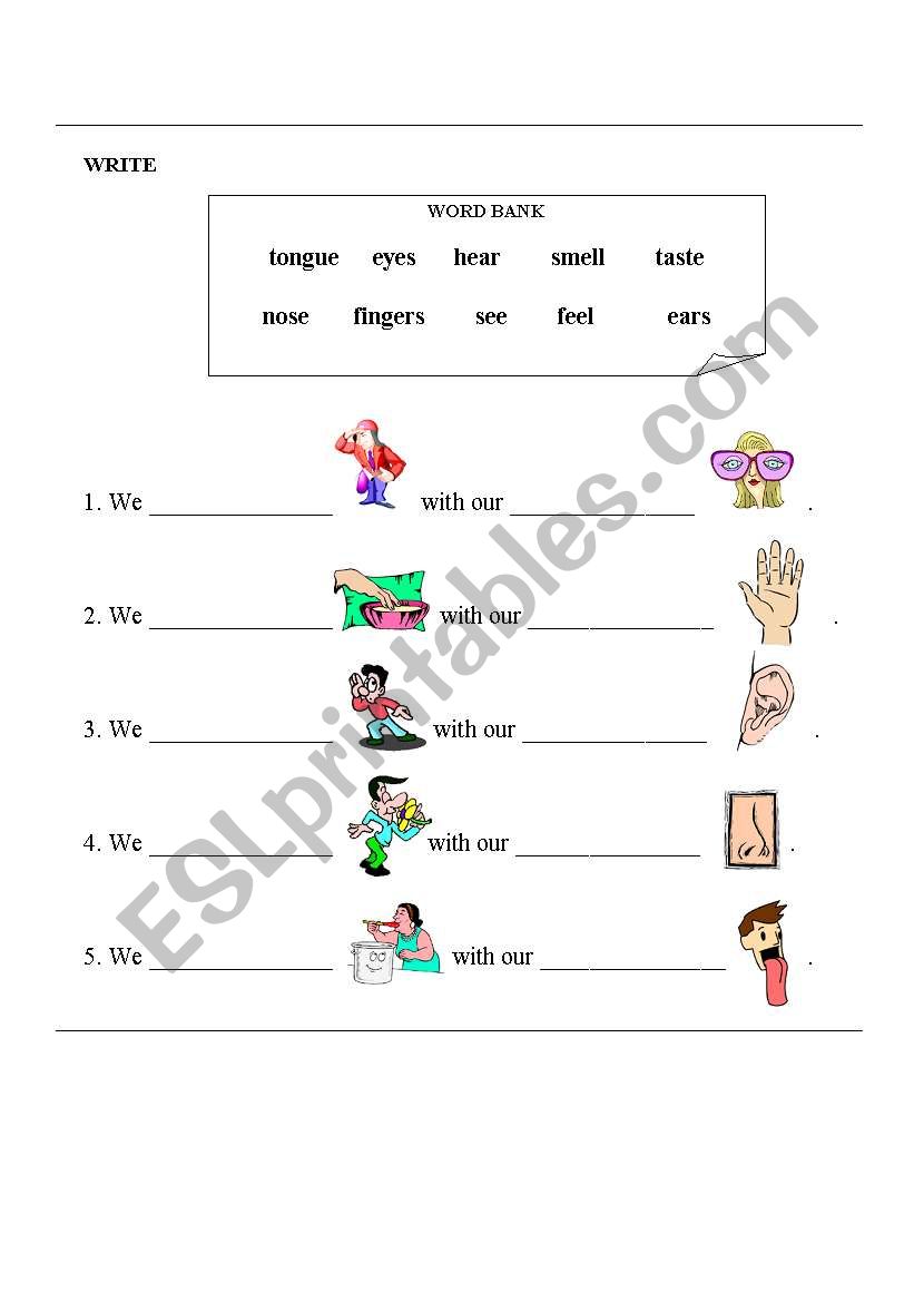 SENSES worksheet