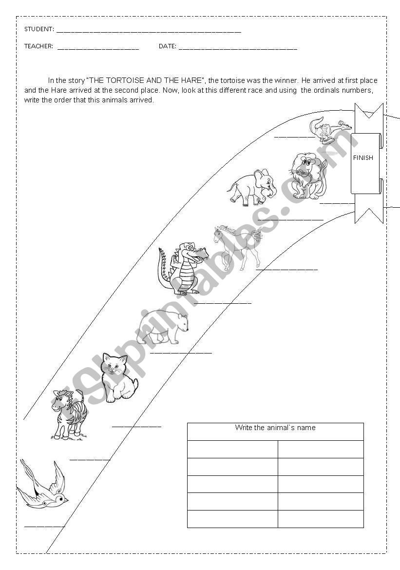 The tortoise and the hare worksheet