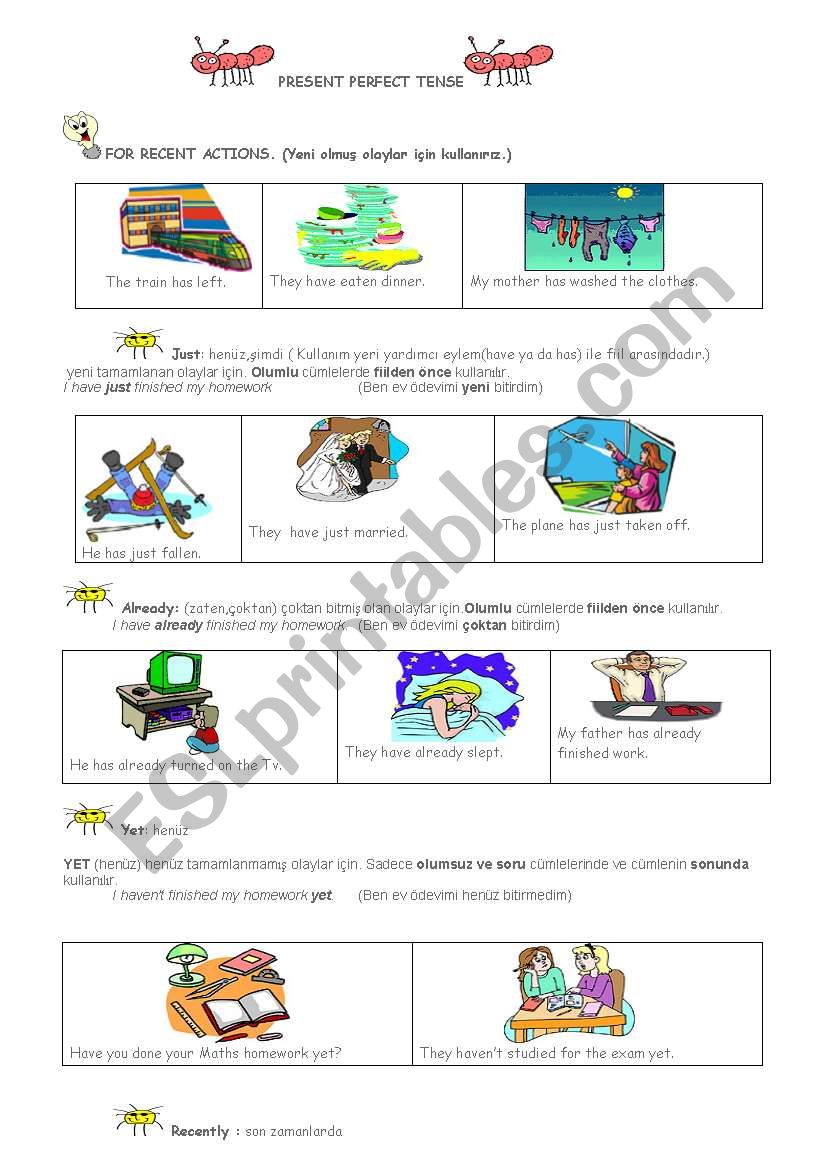 present perfect tense worksheet
