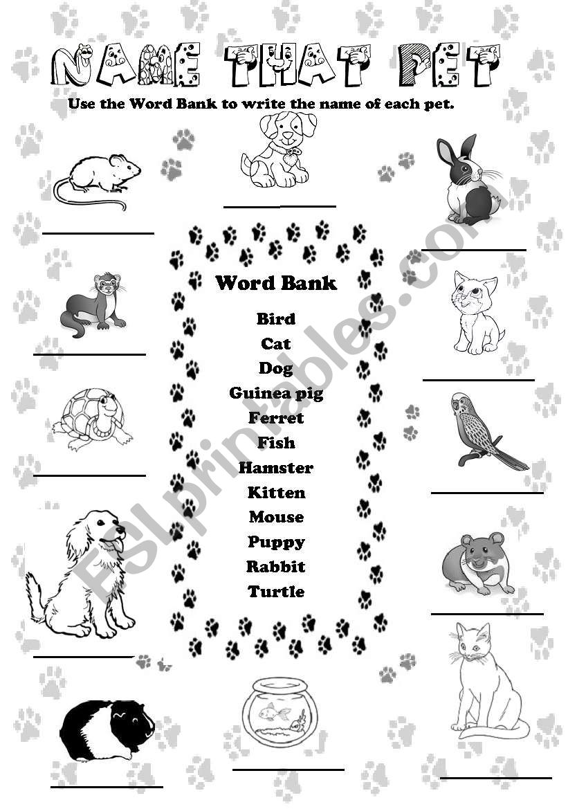 Name That Pet worksheet