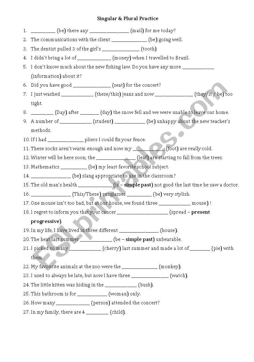 Count & Noncount / Singular & Plural Exercise